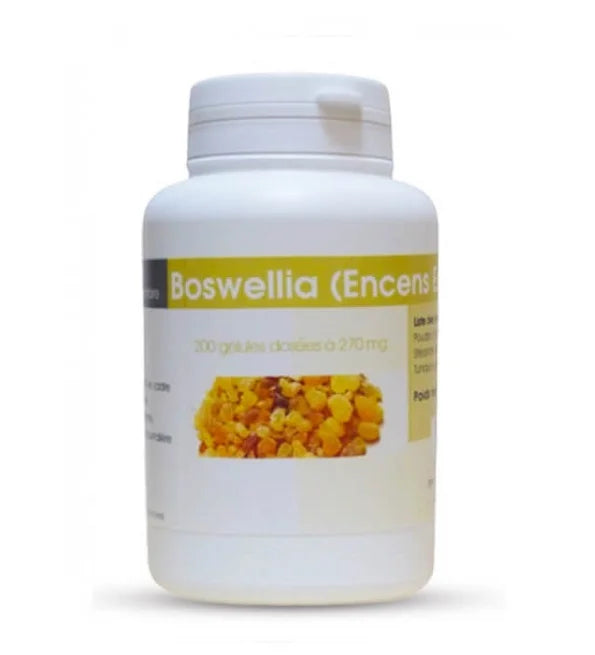 GPH BOSWELLIA ENCENS EXTRAIT 270MG 100GELULES